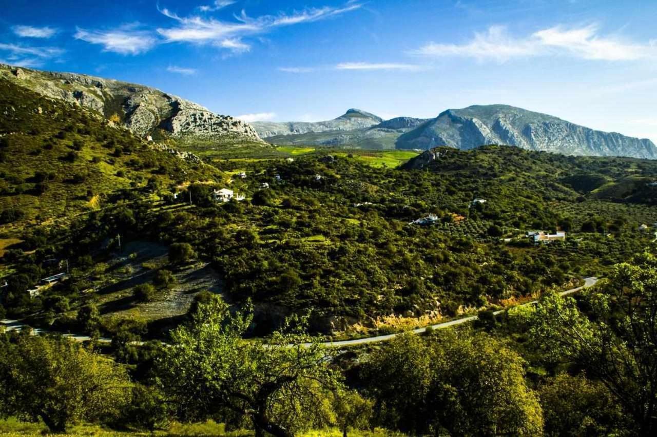 Casa Rural El Chaparro El Chorro Εξωτερικό φωτογραφία
