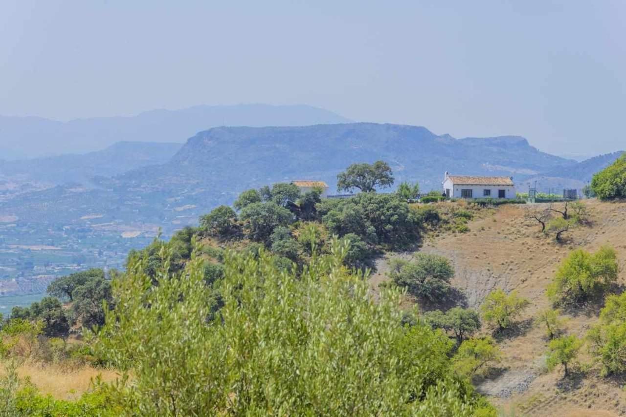 Casa Rural El Chaparro El Chorro Εξωτερικό φωτογραφία